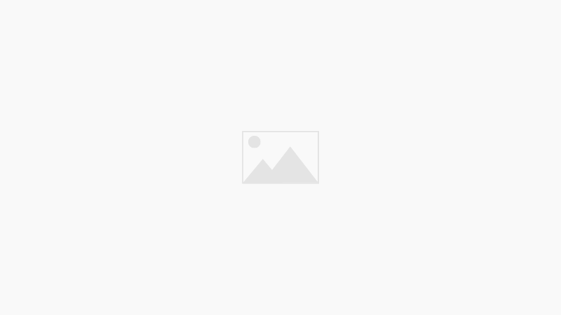 パラダイスウォッシュ、ホームページ公開日